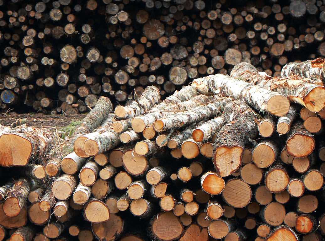 image from Harvesting Logs for Fun and Profit