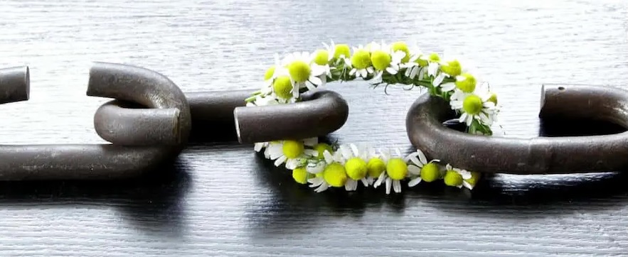 image from Weakly Link 25/51